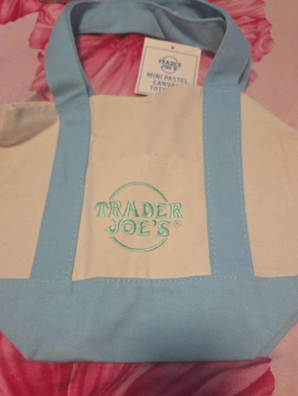 Trader Joe's Canvas Tote Bag in Light Blue and Cream